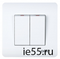 2-клавишный выключатель 10А 250В (CHINT)