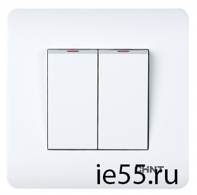 2-клавишный выключатель 10А 250В (CHINT)